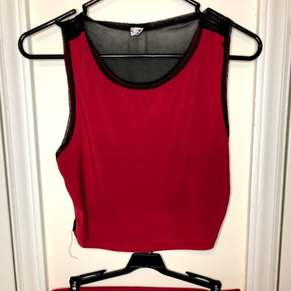 Red Mesh Crop Top Skirt Set